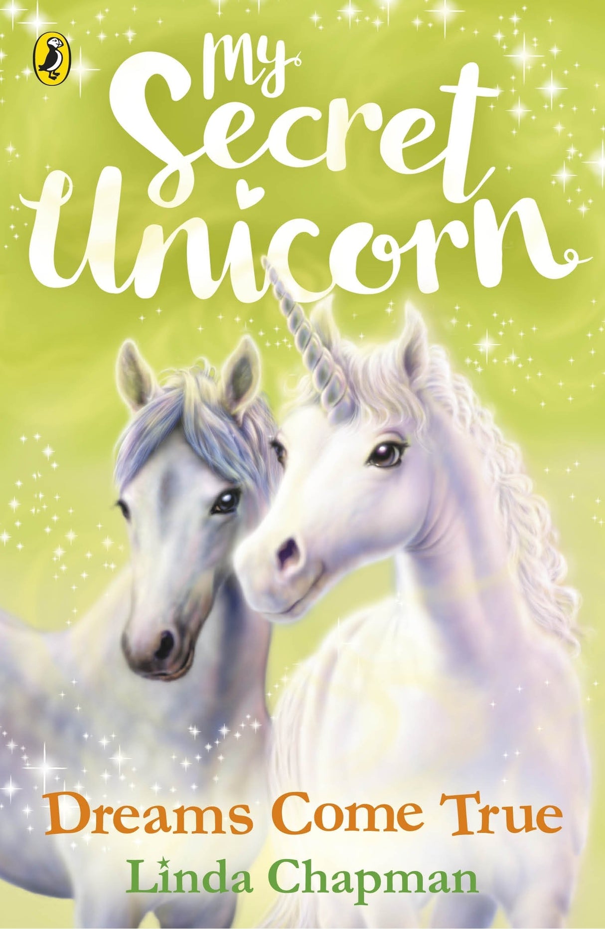 My Secret Unicorn: Dreams Come True - Retail Maharaj