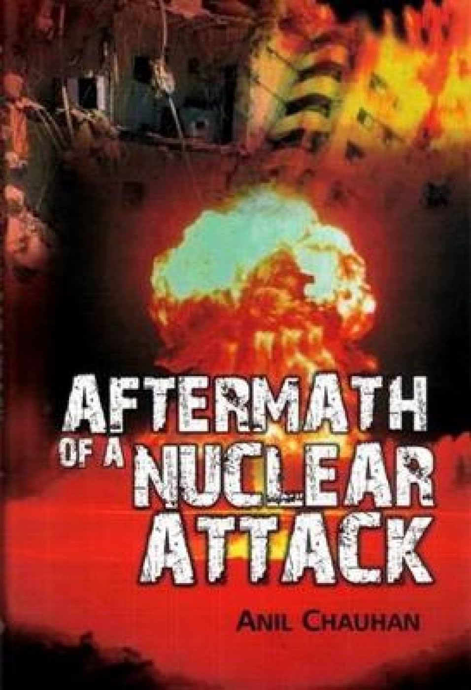 Aftermath of a Nuclear Attack - Retail Maharaj