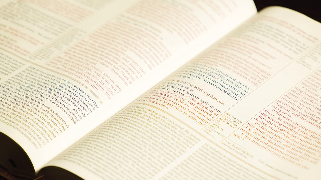 NIV, The Grace and Truth Study Bible, Leathersoft, Navy, Red Letter, Comfort Print - Retail Maharaj