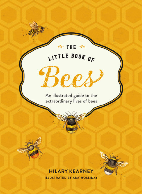 The Little Book of Bees: An illustrated guide to the extraordinary lives of bees - Retail Maharaj