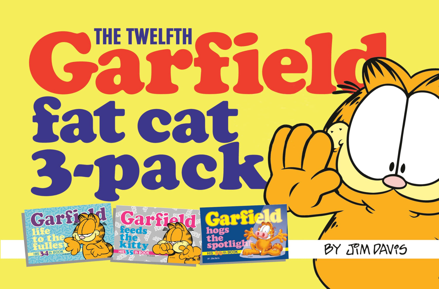 The Twelfth Garfield Fat Cat 3-Pack - Retail Maharaj