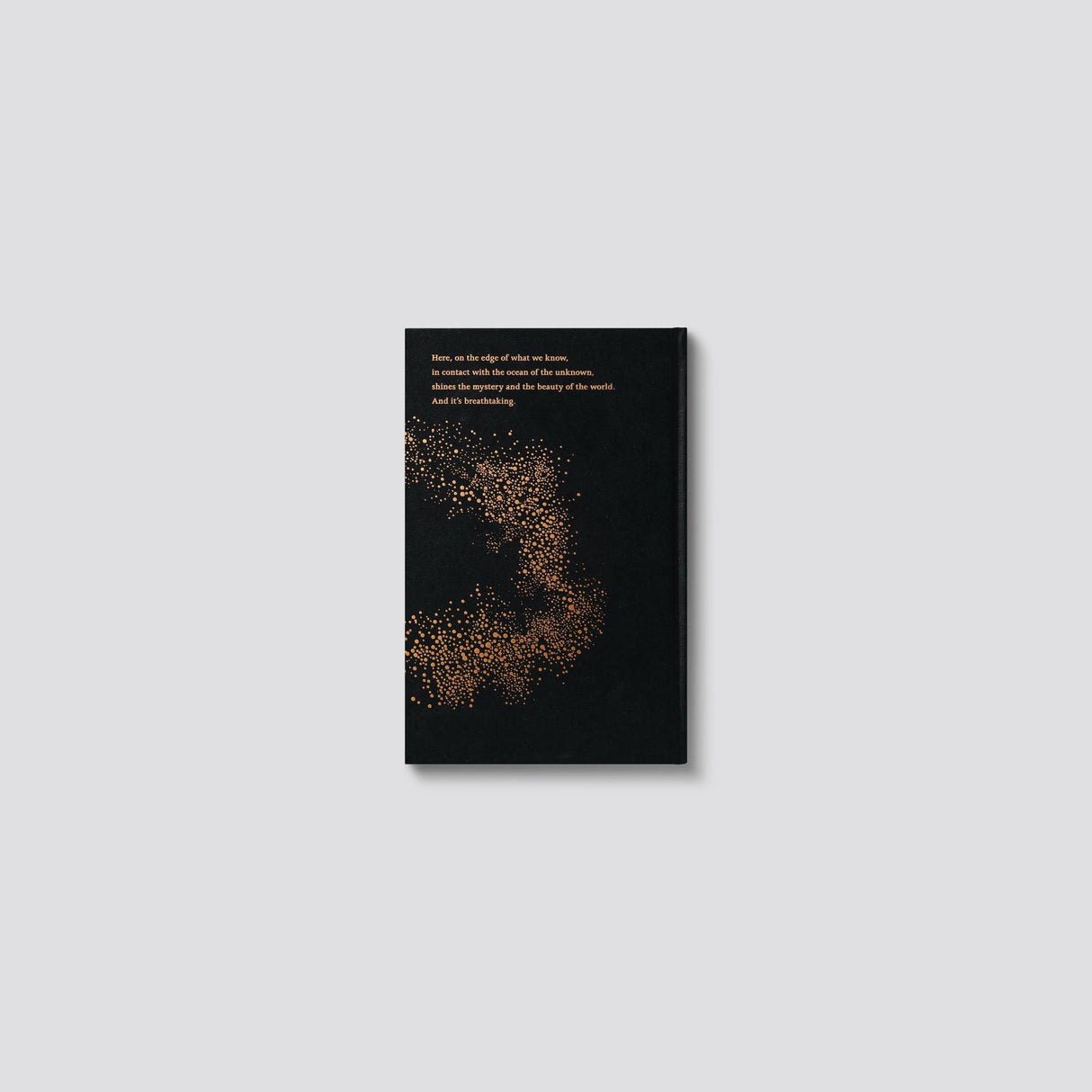 Seven Brief Lessons on Physics: Anniversary Edition - Retail Maharaj