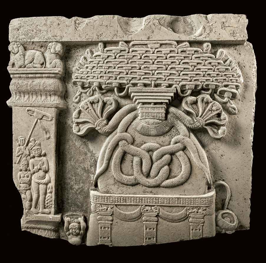 Tree & Serpent - Retail Maharaj