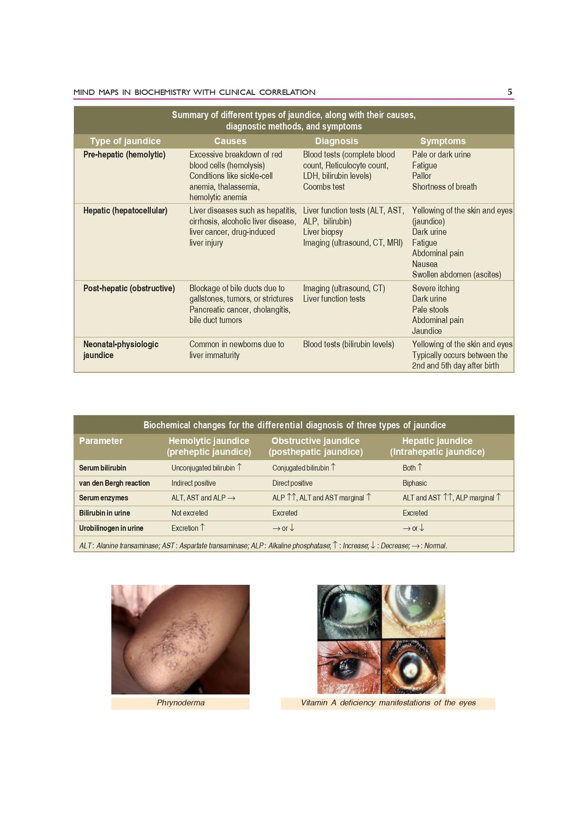 Biochemistry, 7th Silver Jubilee Edition | As per the latest NMC Guidelines | Packed Inside Free Mind Maps in Biochemistry with Clinical Correlation