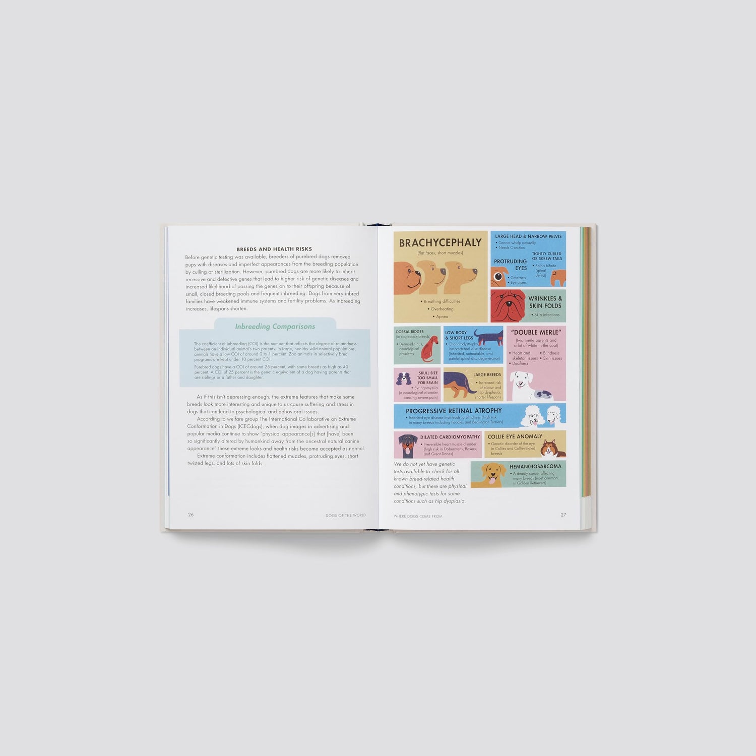 Dogs of the World: An Illustrated Compendium