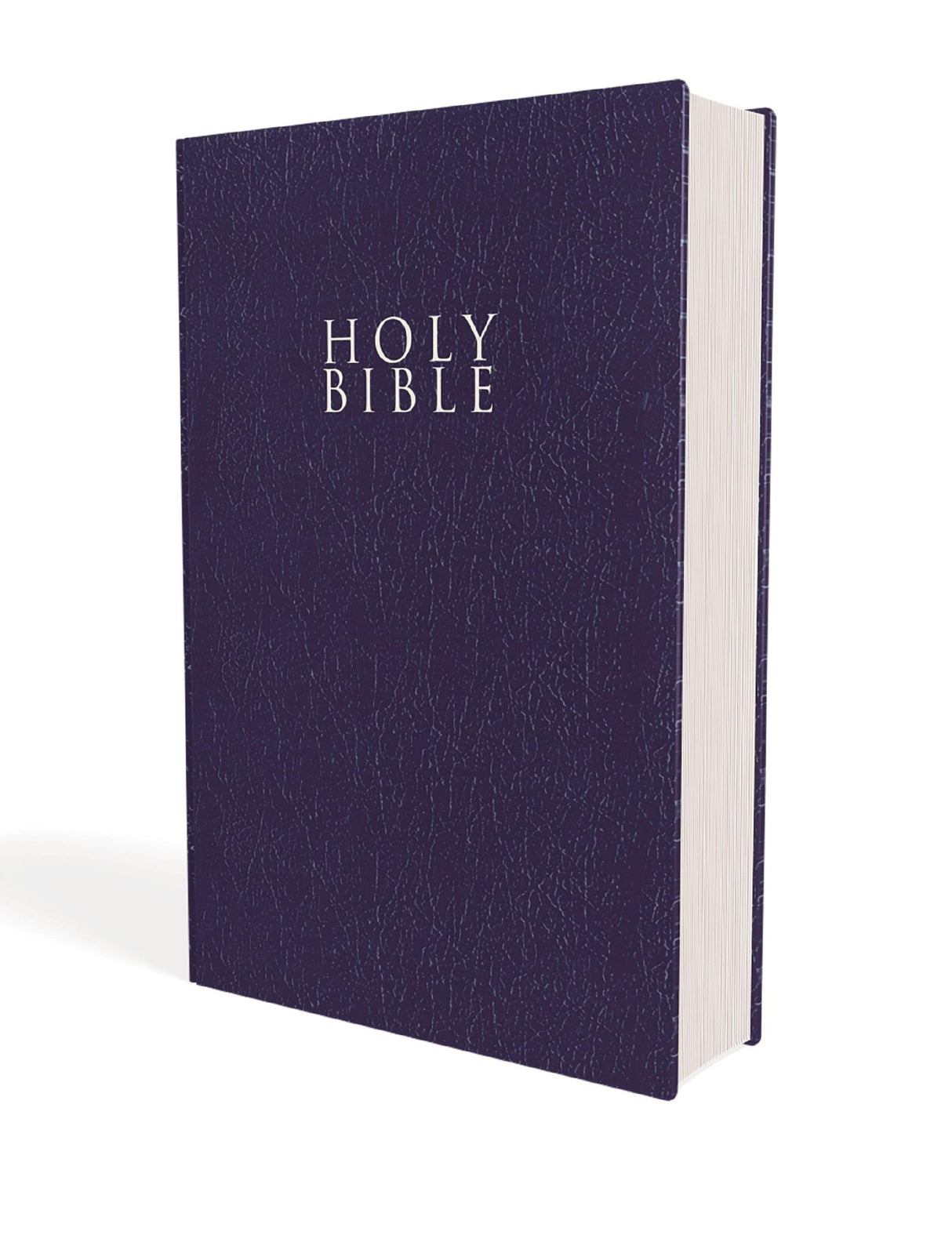 Niv, Gift And Award Bible, Leather-Look, Blue, Red Letter Edition, Comfort Print - Retail Maharaj