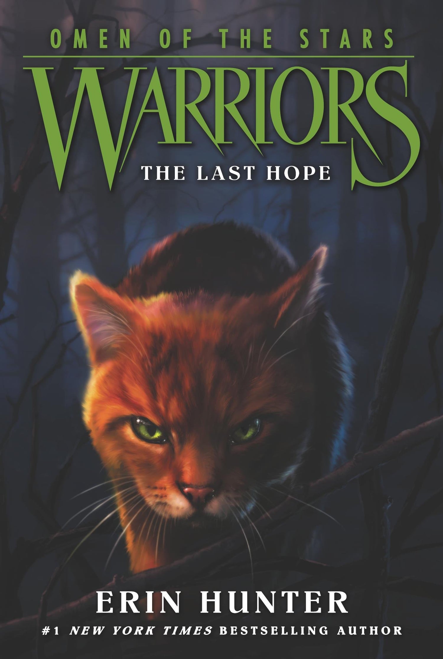 Warriors: Omen of the Stars #6: The Last Hope - Retail Maharaj