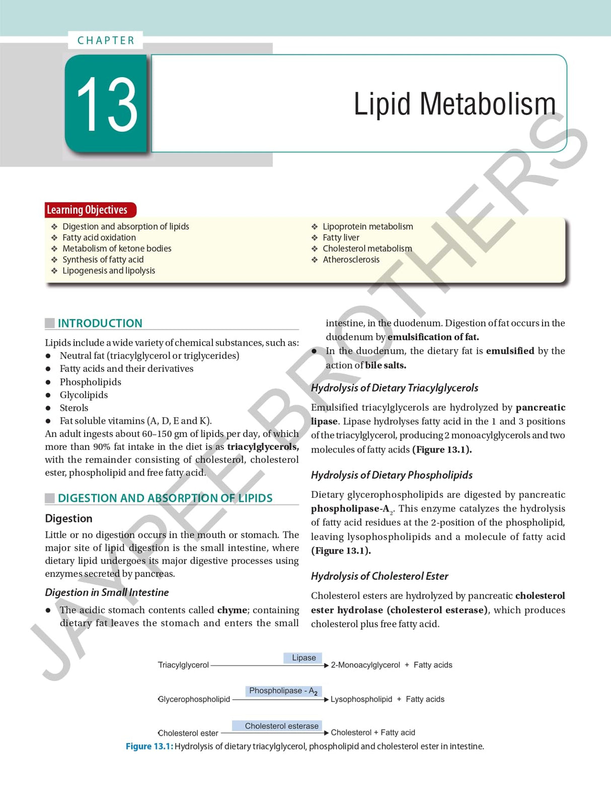 ESSENTIALS OF BIOCHEMISTRY