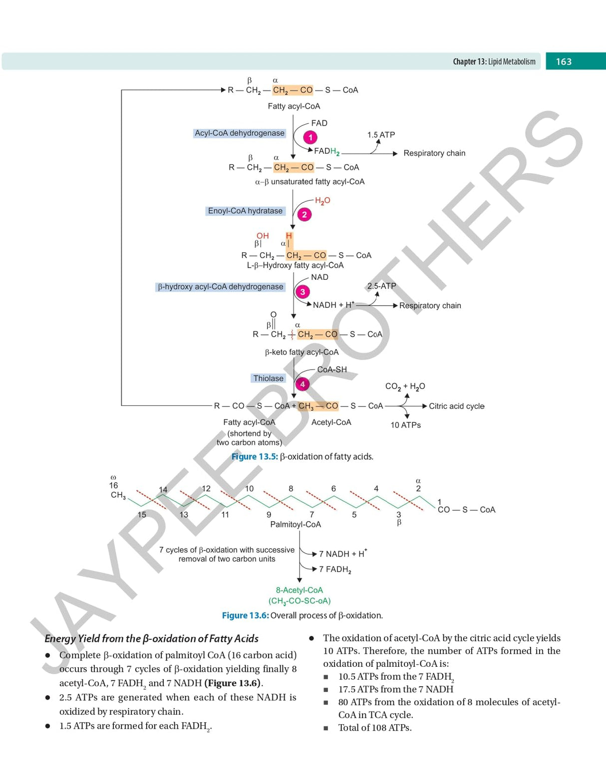 ESSENTIALS OF BIOCHEMISTRY