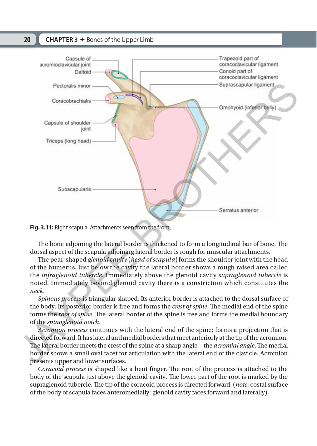 INDERBIR SINGH'S TEXTBOOK OF HUMAN OSTEOLOGY WITH ATLAS OF MUSCLE ATTACHMENTS