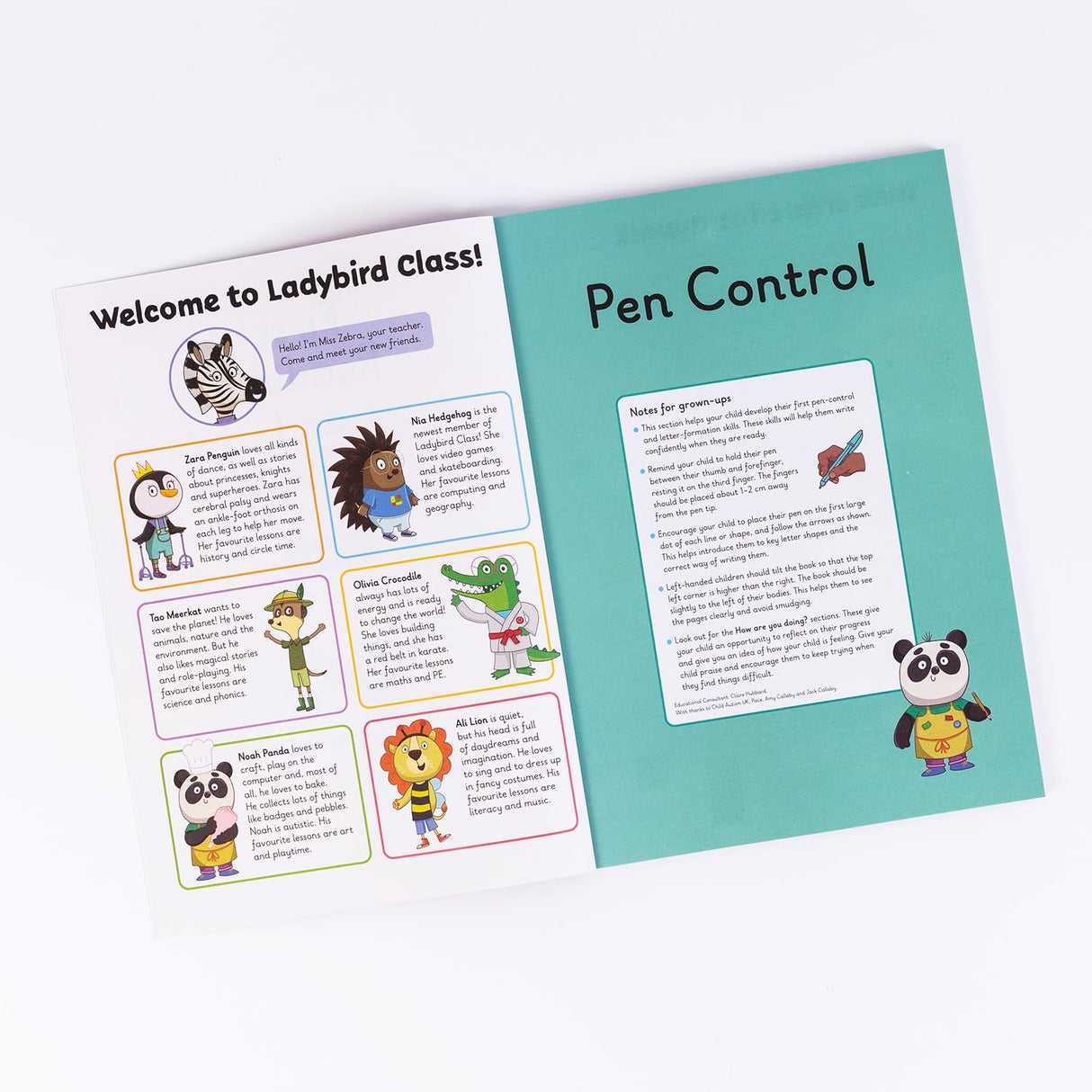 First Reading and Writing: A Learn With Ladybird 4 in 1 Activity Book - Pen Control, Letters, First Words and First Phonics - Practice Skills for School (3-5 Years) - Retail Maharaj