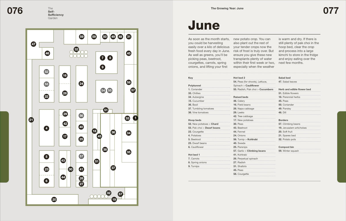 The Self-Sufficiency Garden: Feed Your Family and Save Money: THE #1 SUNDAY TIMES BESTSELLER - Retail Maharaj