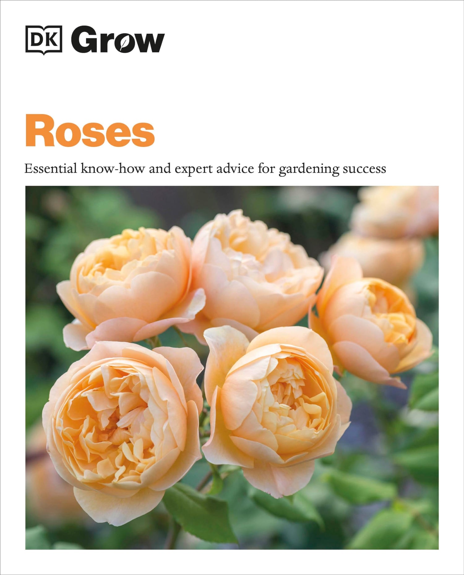 Grow Roses: Essential Know-how and Expert Advice for Gardening Success - Retail Maharaj