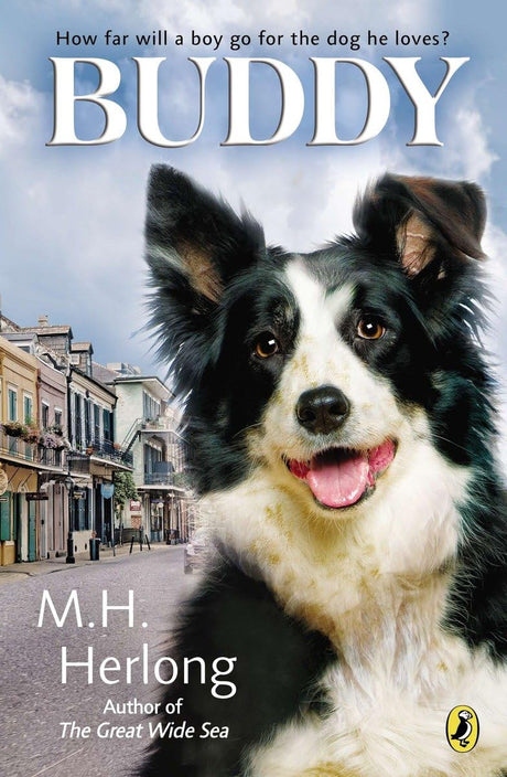 Buddy - Retail Maharaj