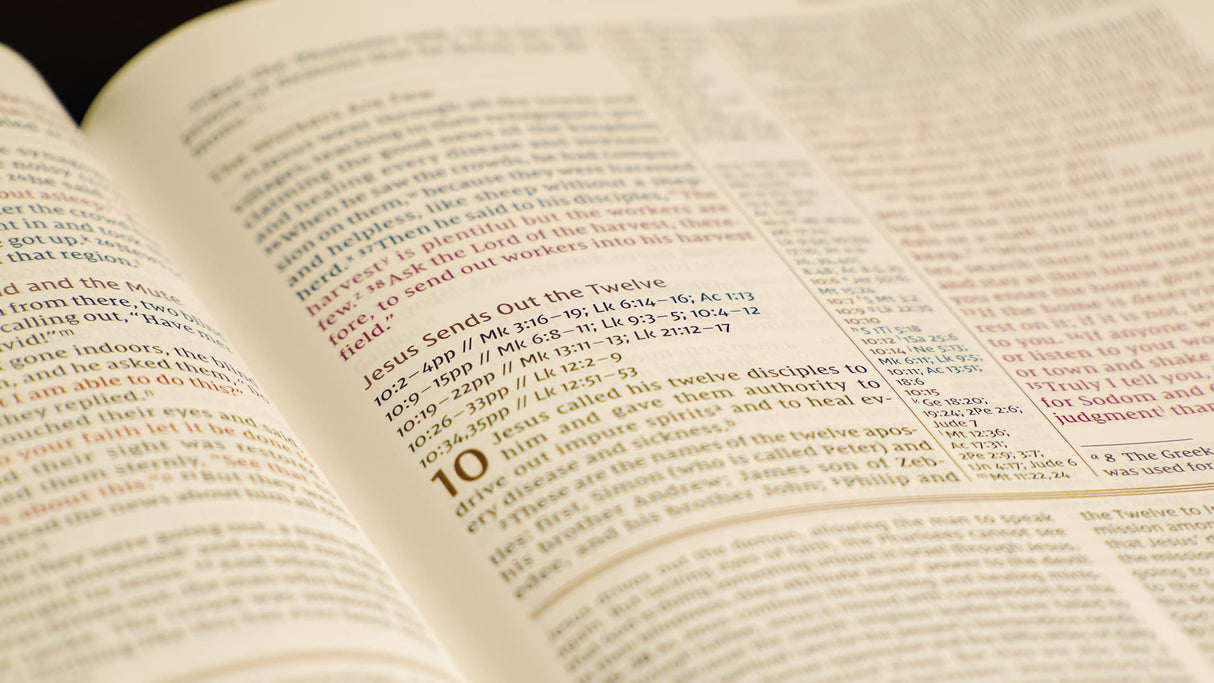 NIV, The Grace and Truth Study Bible, Leathersoft, Navy, Red Letter, Comfort Print - Retail Maharaj