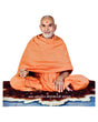 Mahant Swami Maharaj (Canvas Cut Out) - Retail Maharaj