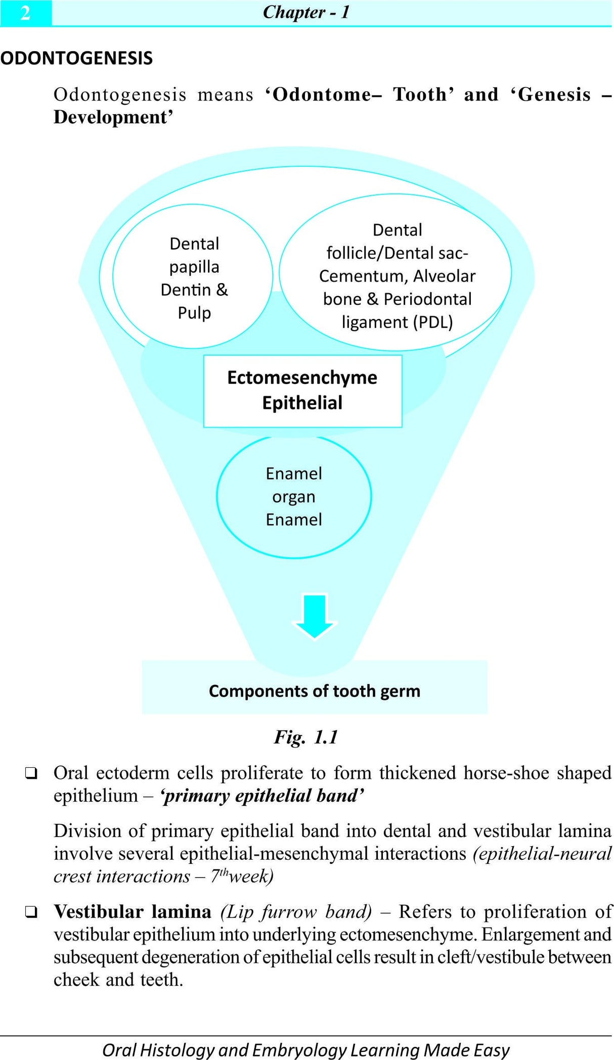 Oral Histology and Embryology Learning Made Easy 1st/2016