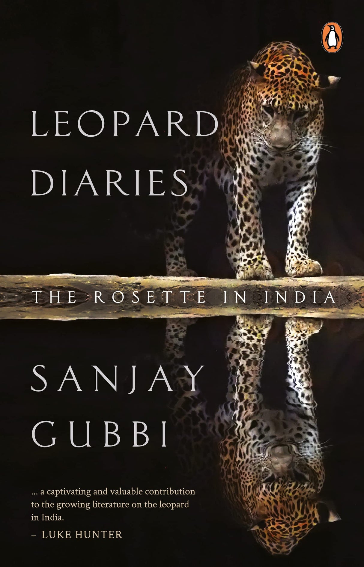 Leopard Diaries: The Rosette in India - Retail Maharaj