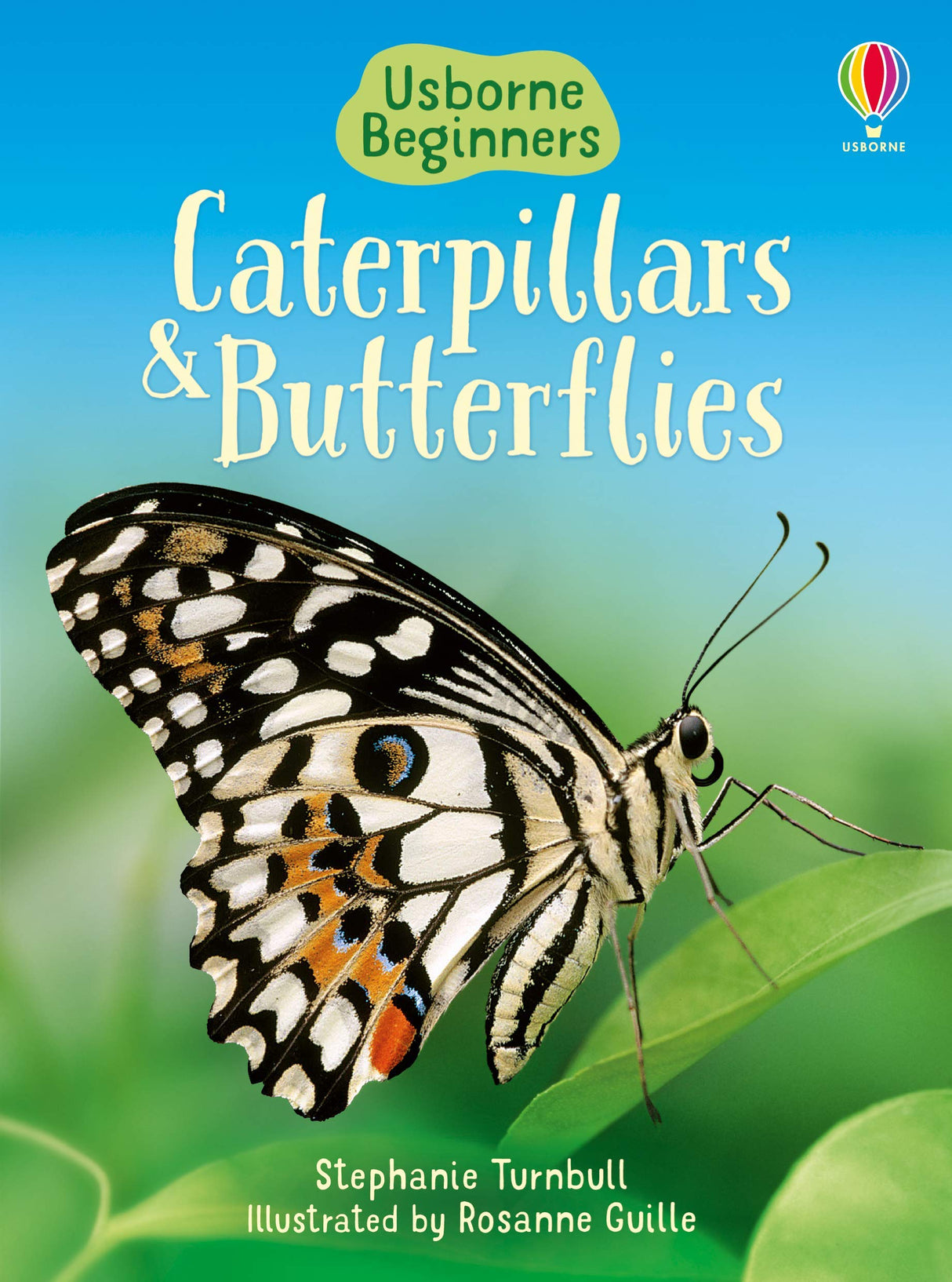 CATERPILLARS AND BUTTERFLIES - Retail Maharaj