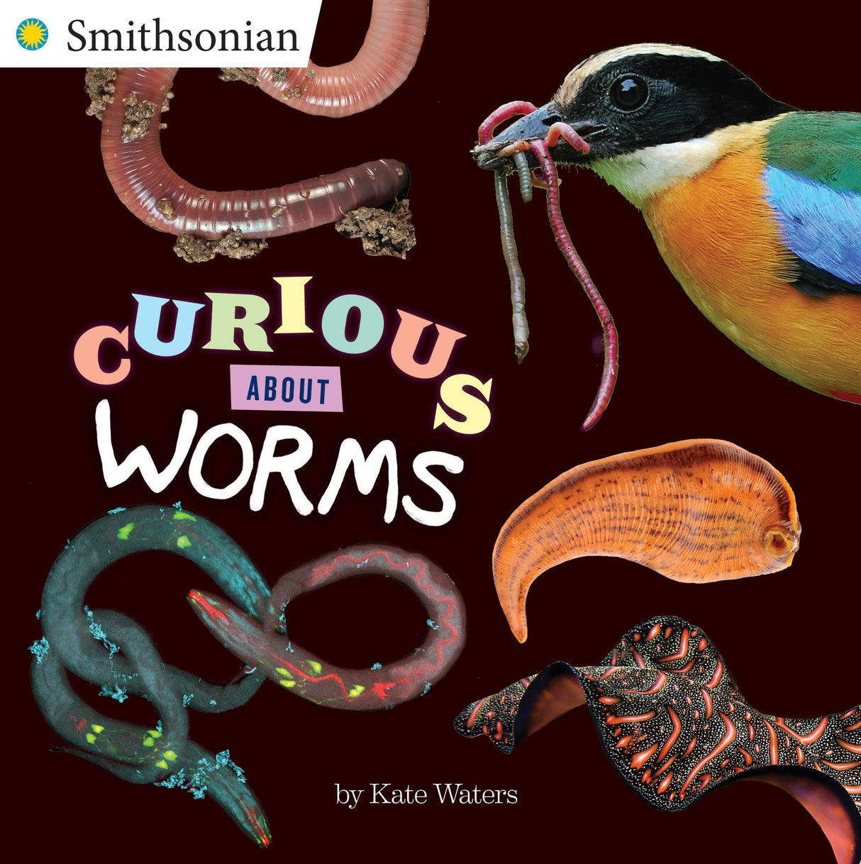 Curious about Worms (Smithsonian)
