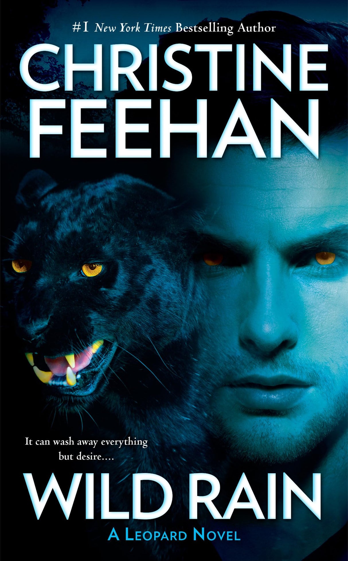 Wild Rain: 2 (A Leopard Novel)