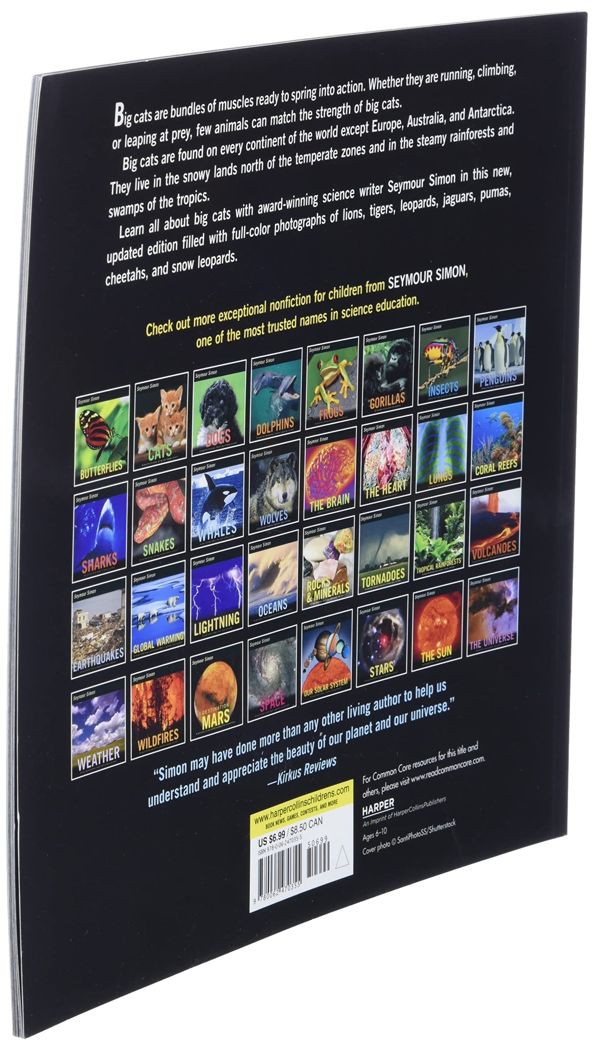 BIG CATS - Retail Maharaj