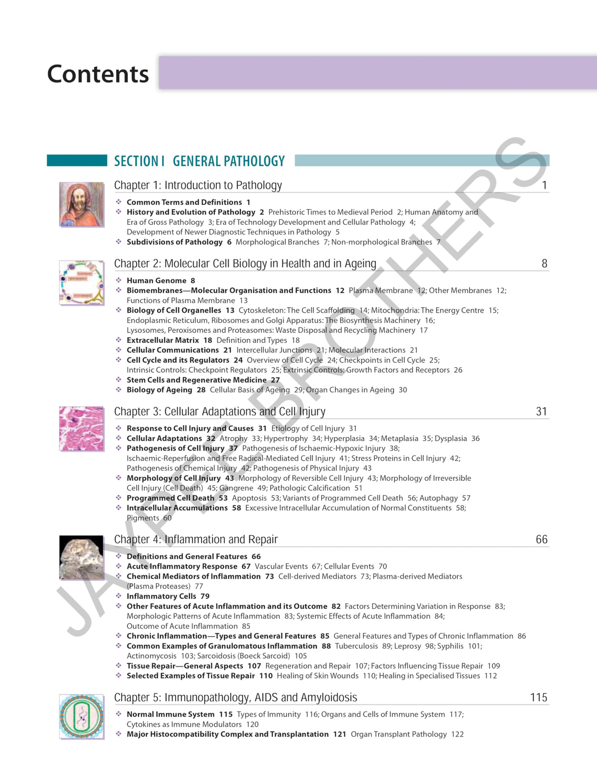 TEXTBOOK OF PATHOLOGY (FREE PATHOLOGY QUICK REVIEW)