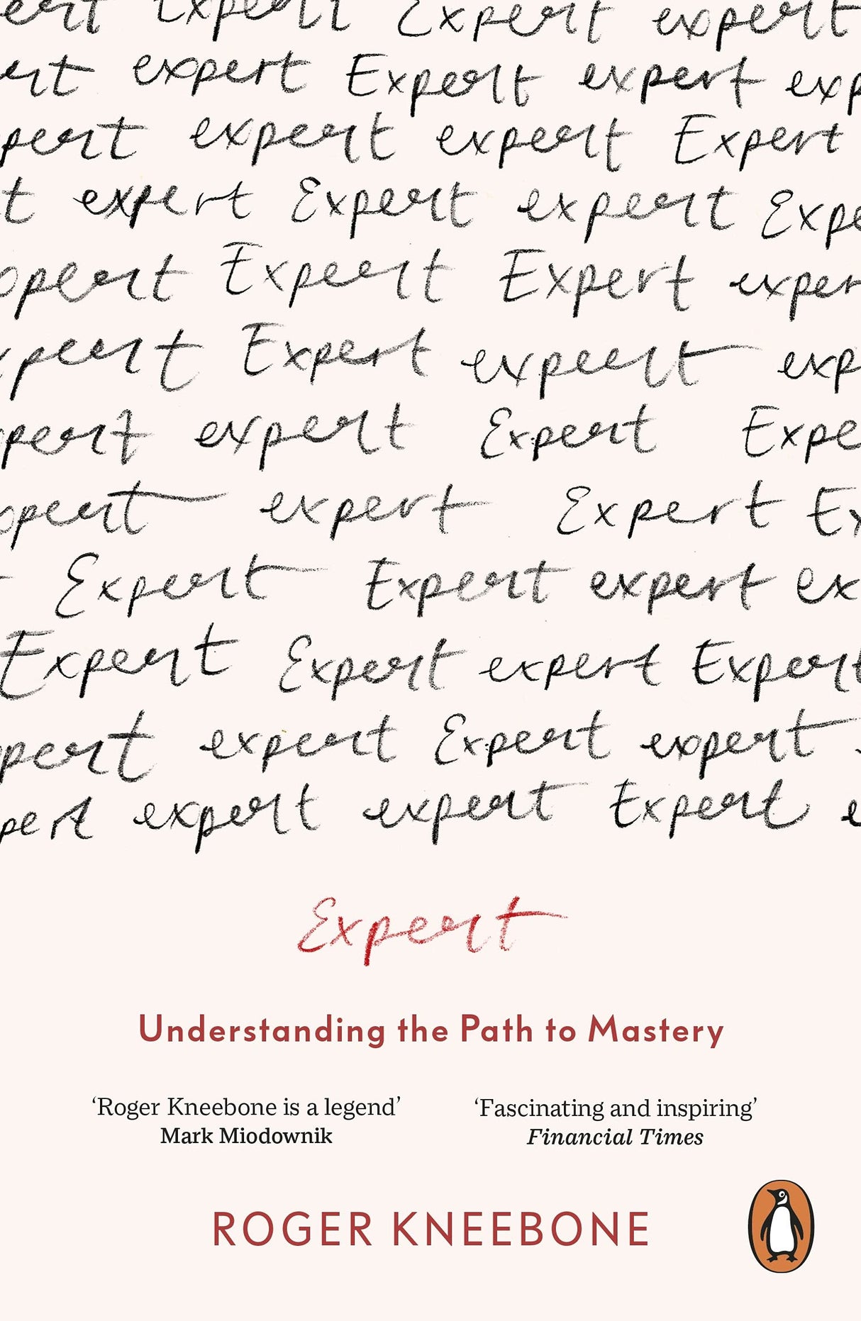 Expert: Understanding the Path to Mastery - Retail Maharaj