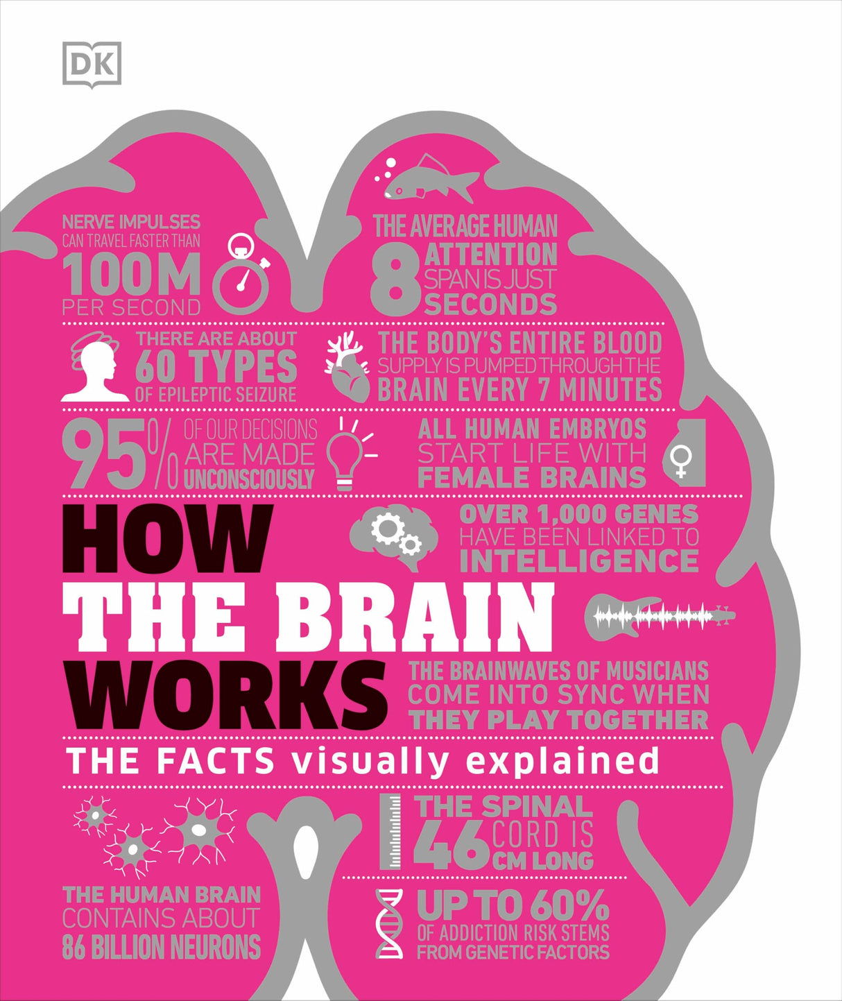 How the Brain Works: The Facts Visually Explained (How Things Work) - Retail Maharaj