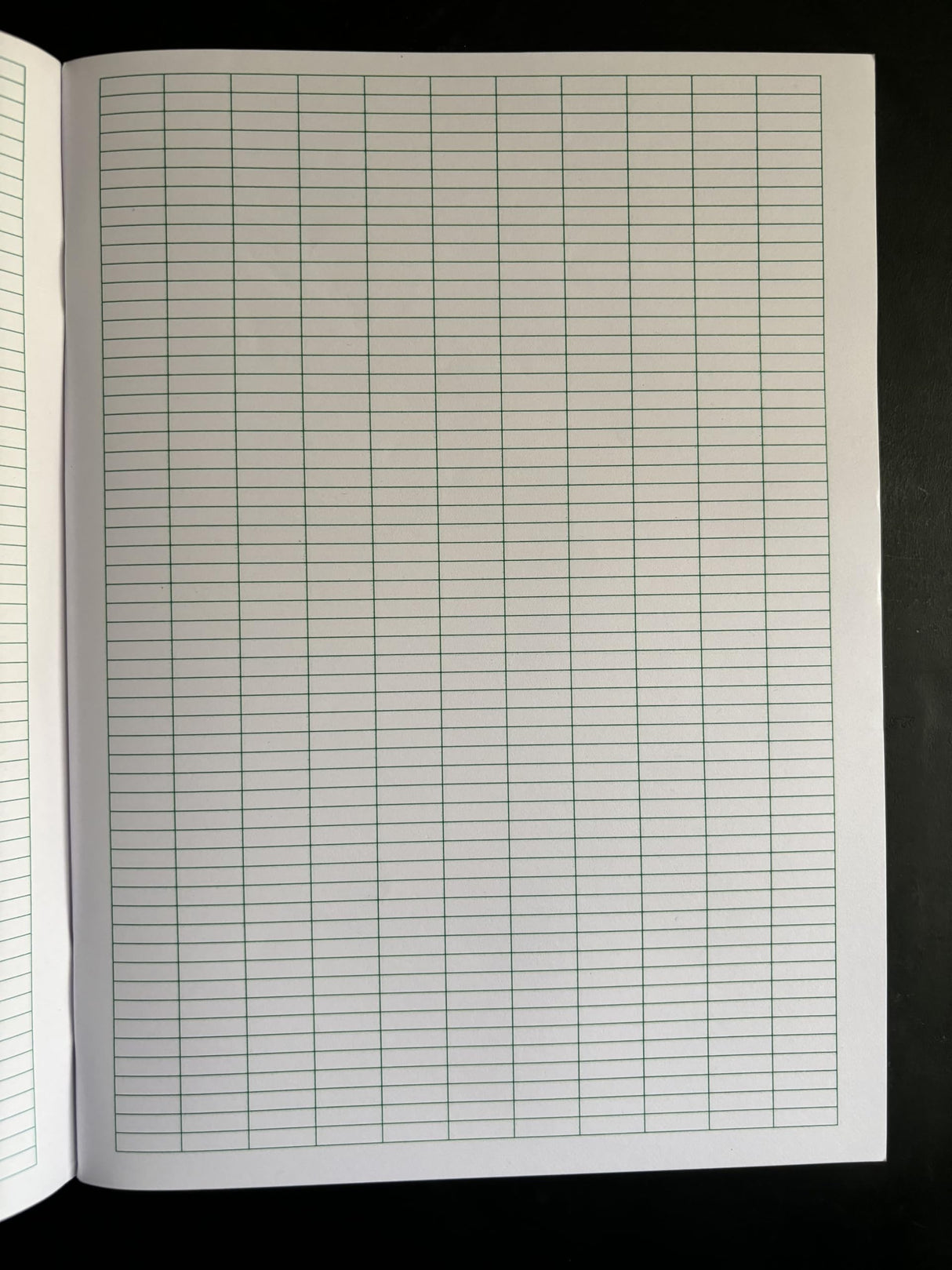 SRI RAMA KOTI (LAKSHA NAMA LEKHANA GRANTHA - FOR WRITING SRIRAM NAME 1 LAKH TIMES - KANNADA)