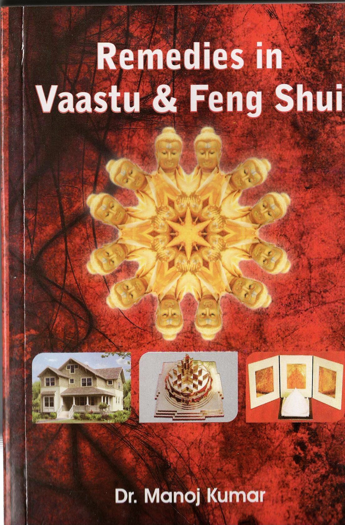 Remedies in Vastu & Feng Shui - Retail Maharaj