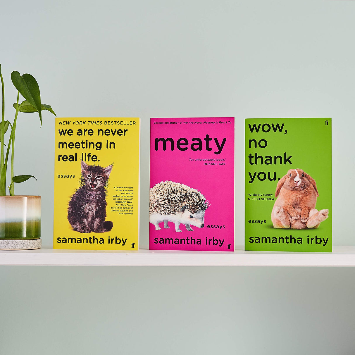 Wow, No Thank You.: The #1 New York Times Bestseller