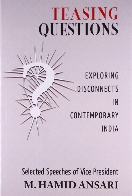Teasing Questions: Exploring Disconnects in Contemporary India - Retail Maharaj