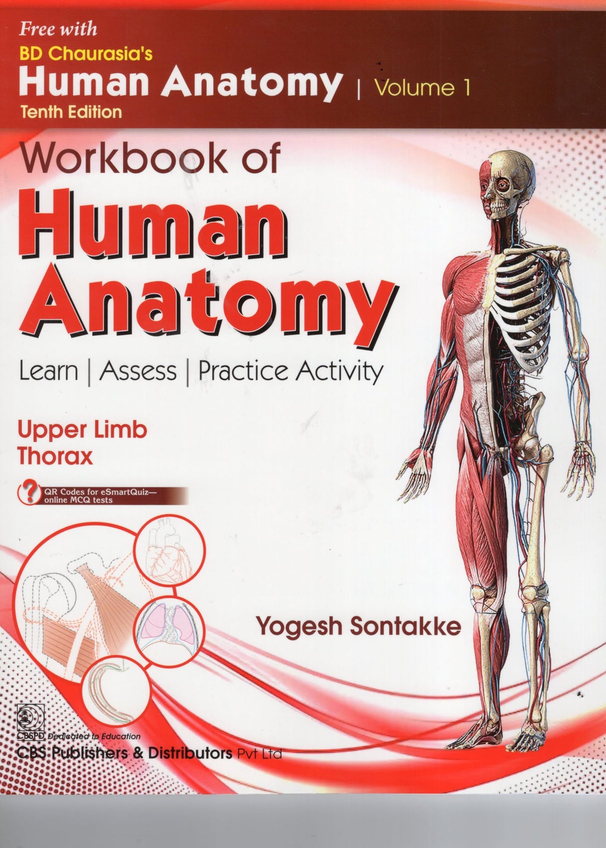 Bd Chaurasias Human Anatomy - 10Ed Vol 1 Regional And Applied Dissection And Clinical Upper Limb Thorax With Free Workbook And Ebooks (Pb 2025)