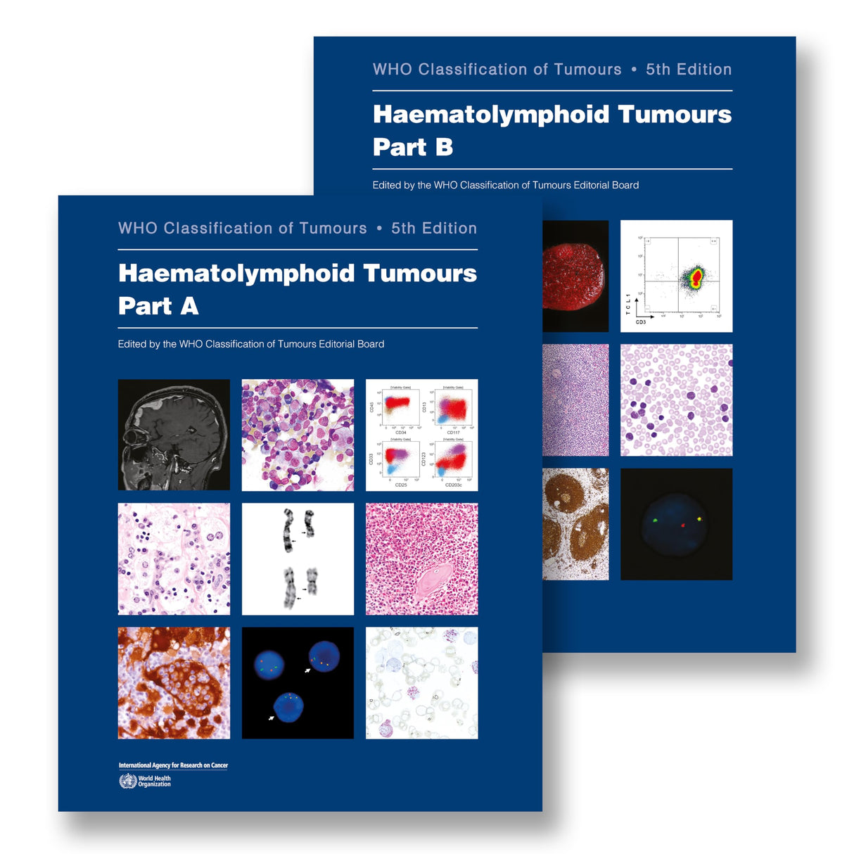 Haematolymphoid Tumours: Who Classification of Tumours