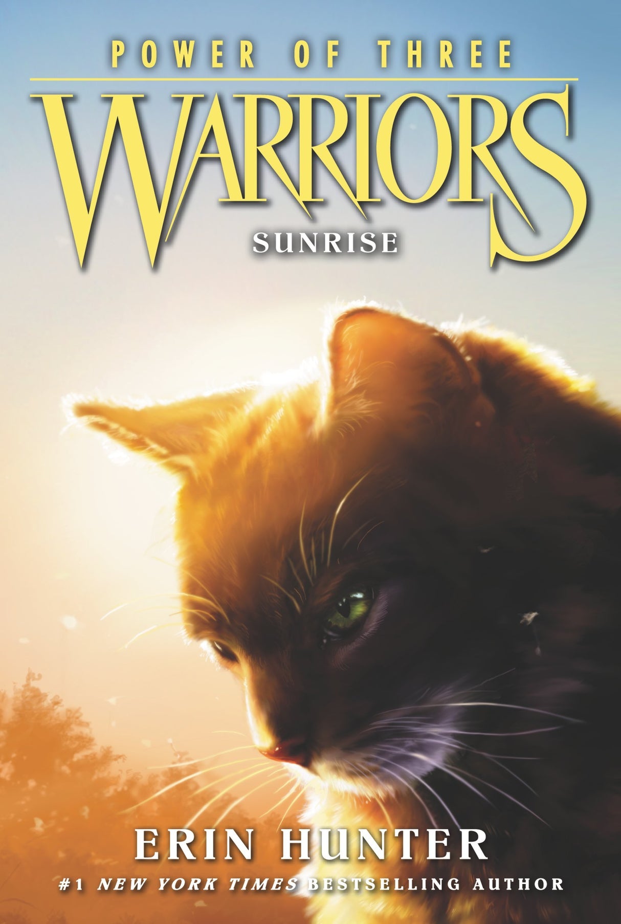 Warriors: Power of Three #6: Sunrise - Retail Maharaj