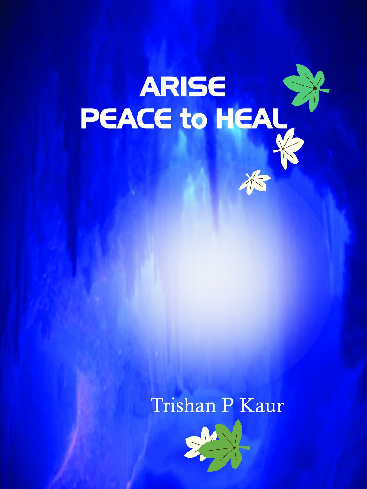 Arise Peace to Heal - Retail Maharaj