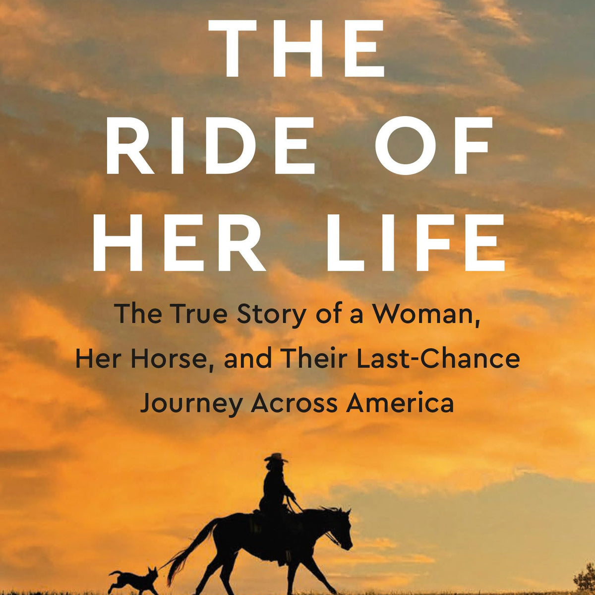 The Ride of Her Life: The True Story of a Woman, Her Horse, and Their