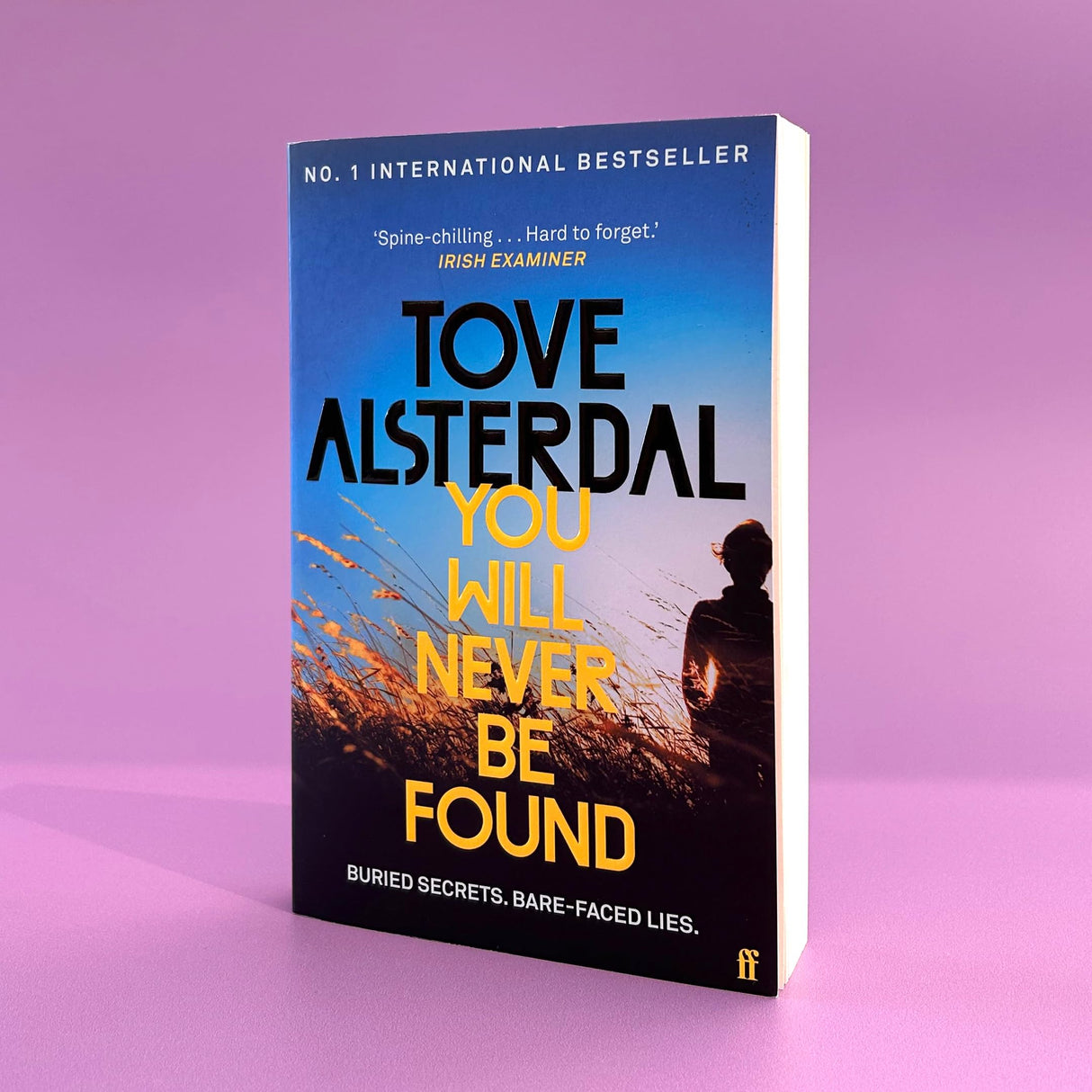 You Will Never Be Found: The No. 1 International Bestseller