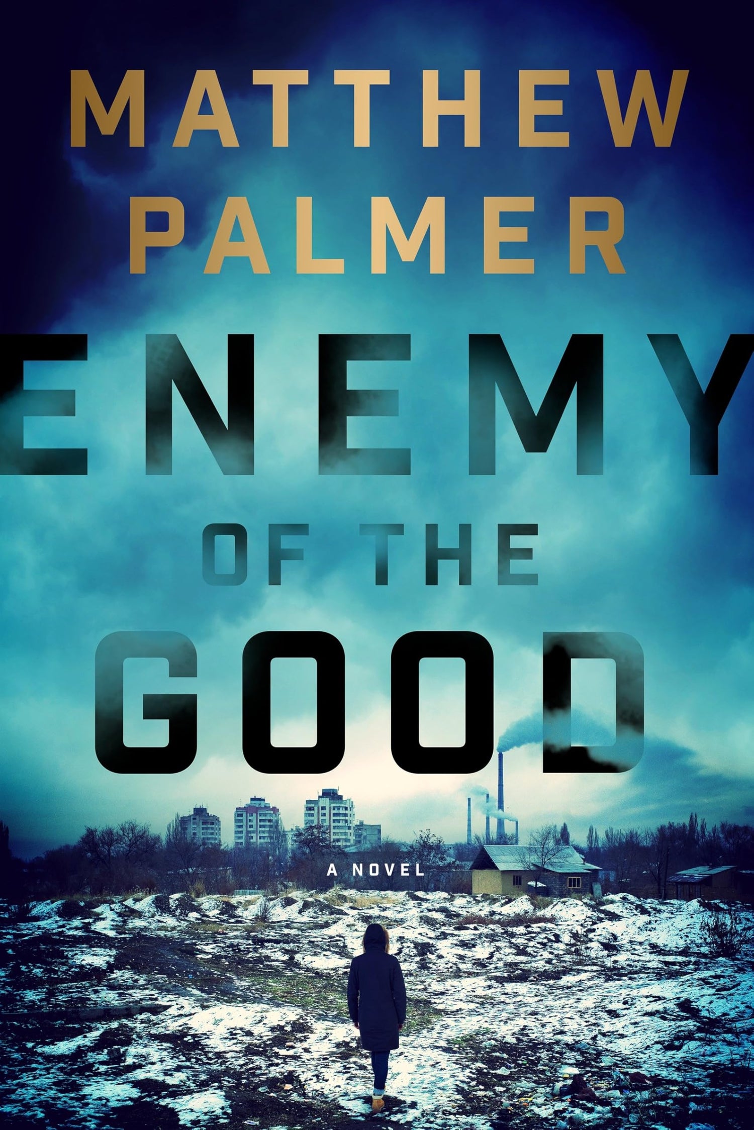 Enemy of the Good: A Novel
