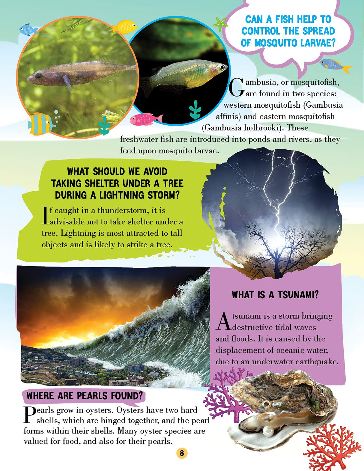 Nature Encyclopedia for Children Age 5 - 15 Years- All About Trivia Questions and Answers - Retail Maharaj