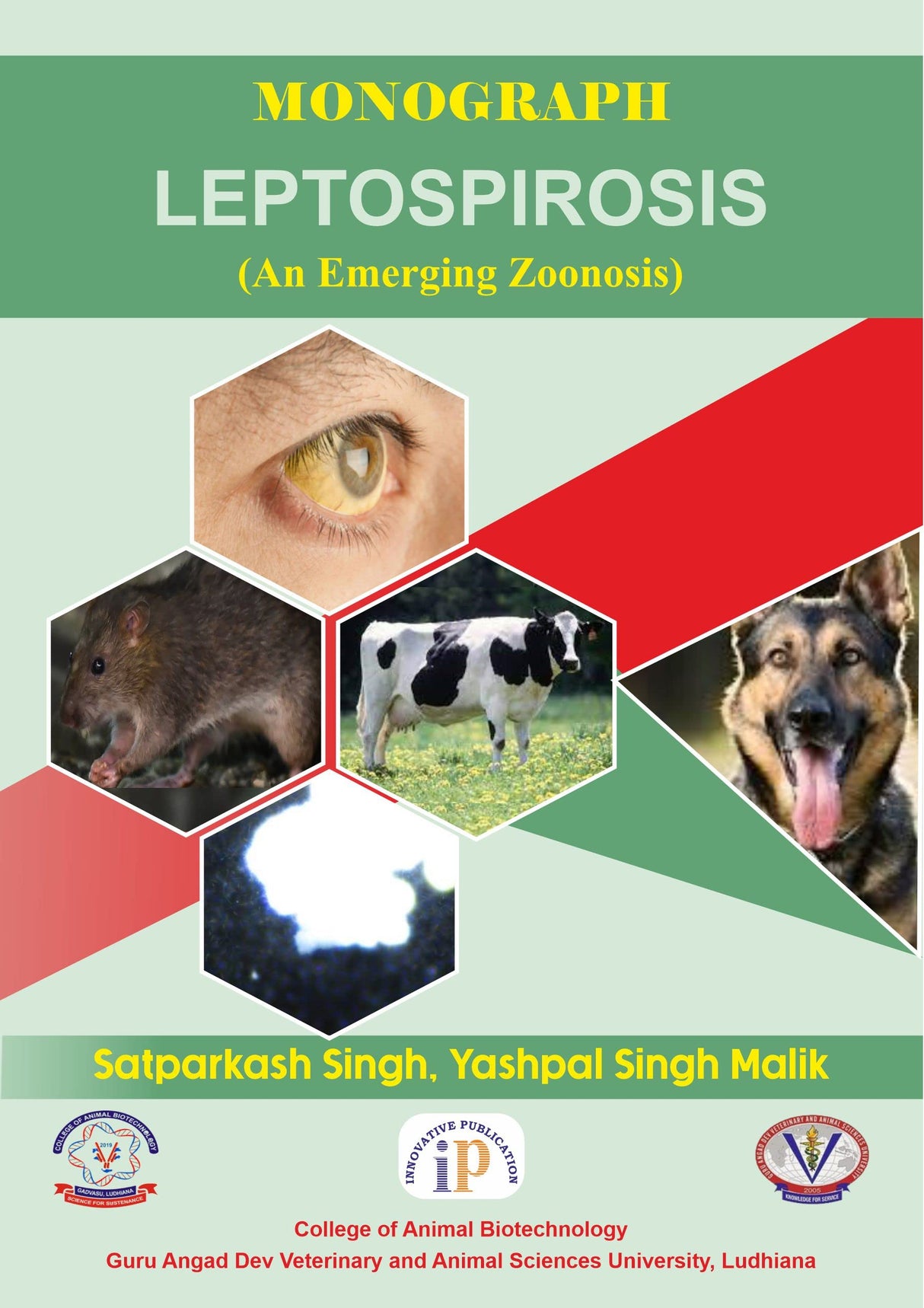 Leptospirosis (An Emerging Zoonosis)
