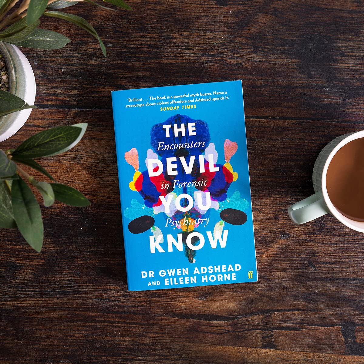 The Devil You Know: Encounters in Forensic Psychiatry