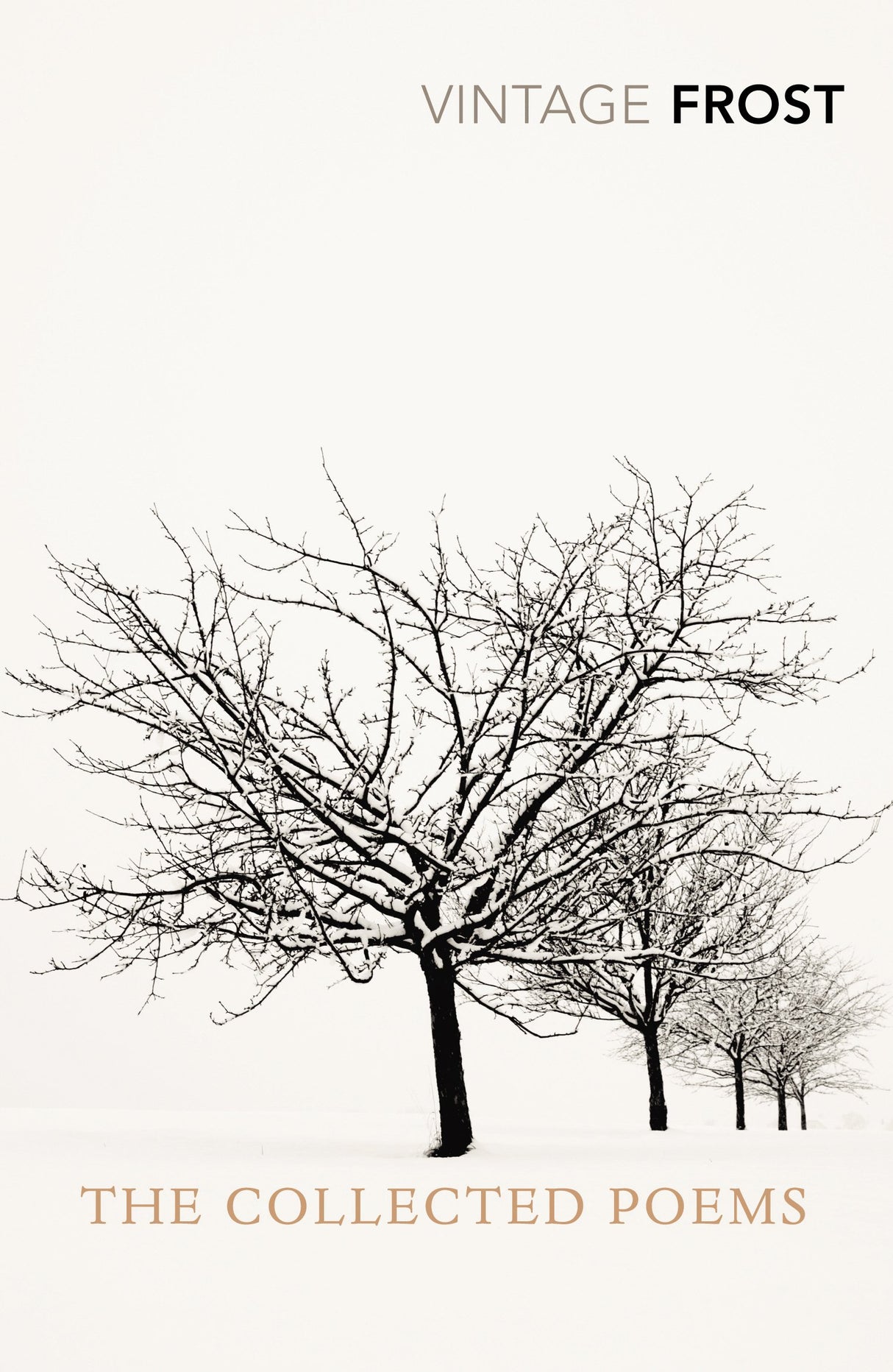 Collected Poems, The - Retail Maharaj