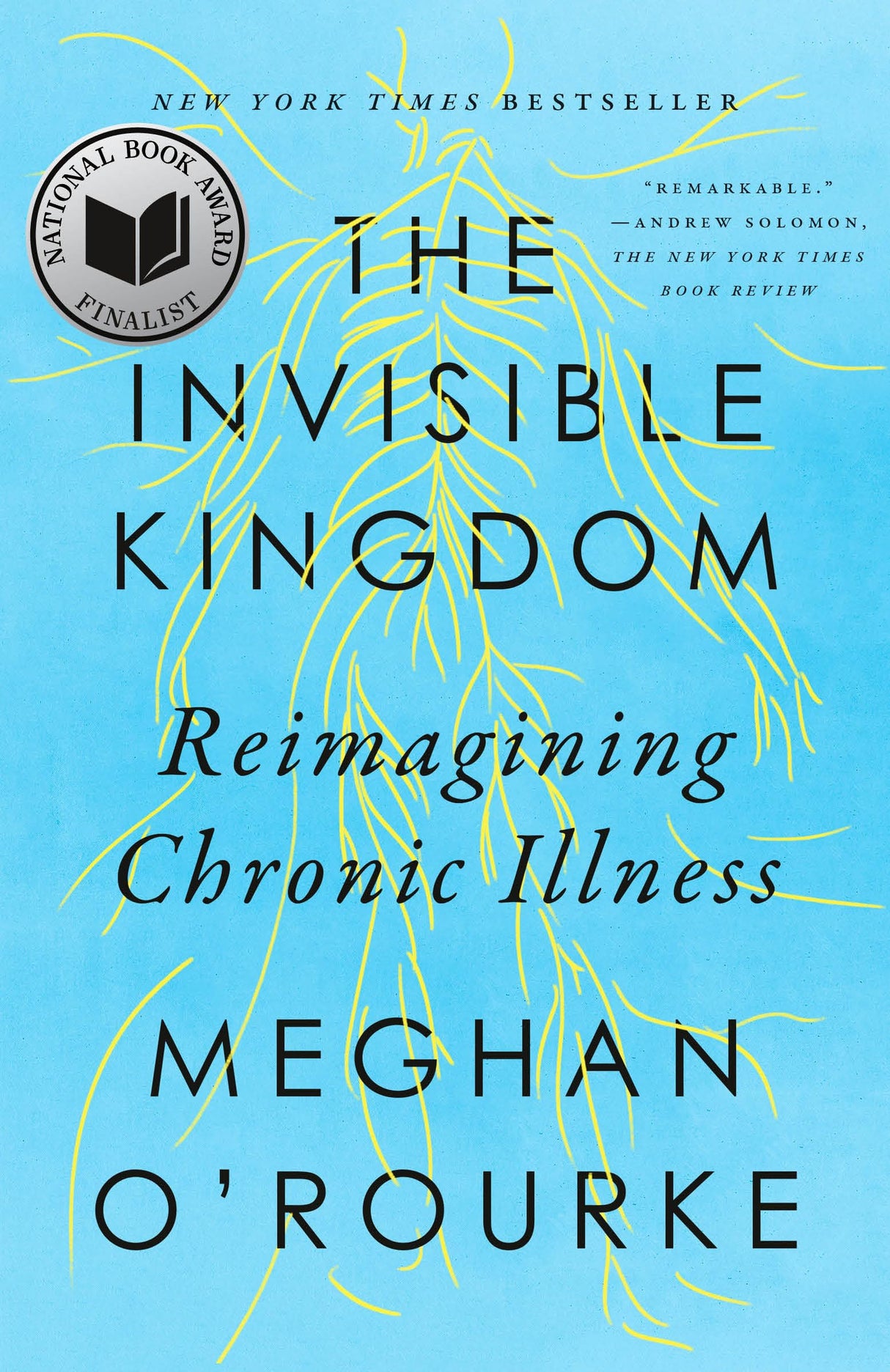 The Invisible Kingdom: Reimagining Chronic Illness - Retail Maharaj