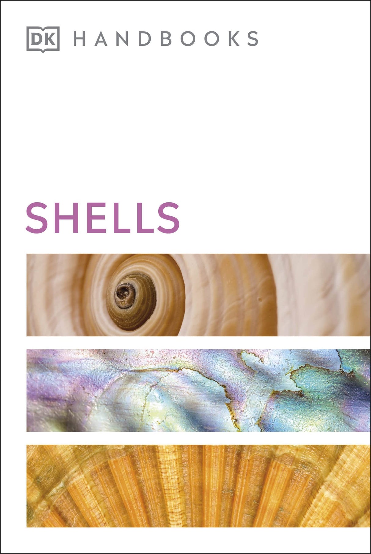 Shells - Retail Maharaj