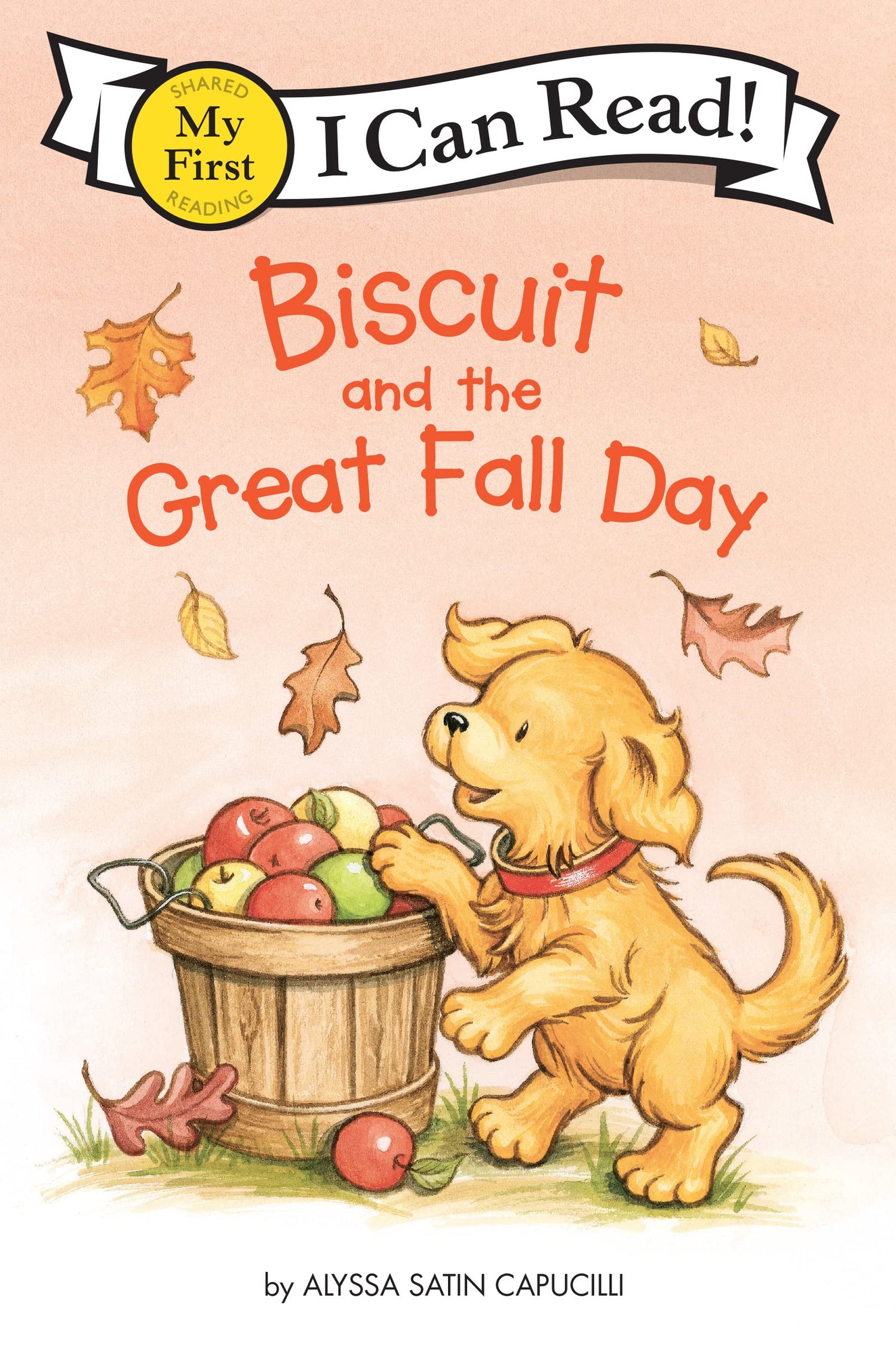 Biscuit And The Great Fall Day - Retail Maharaj