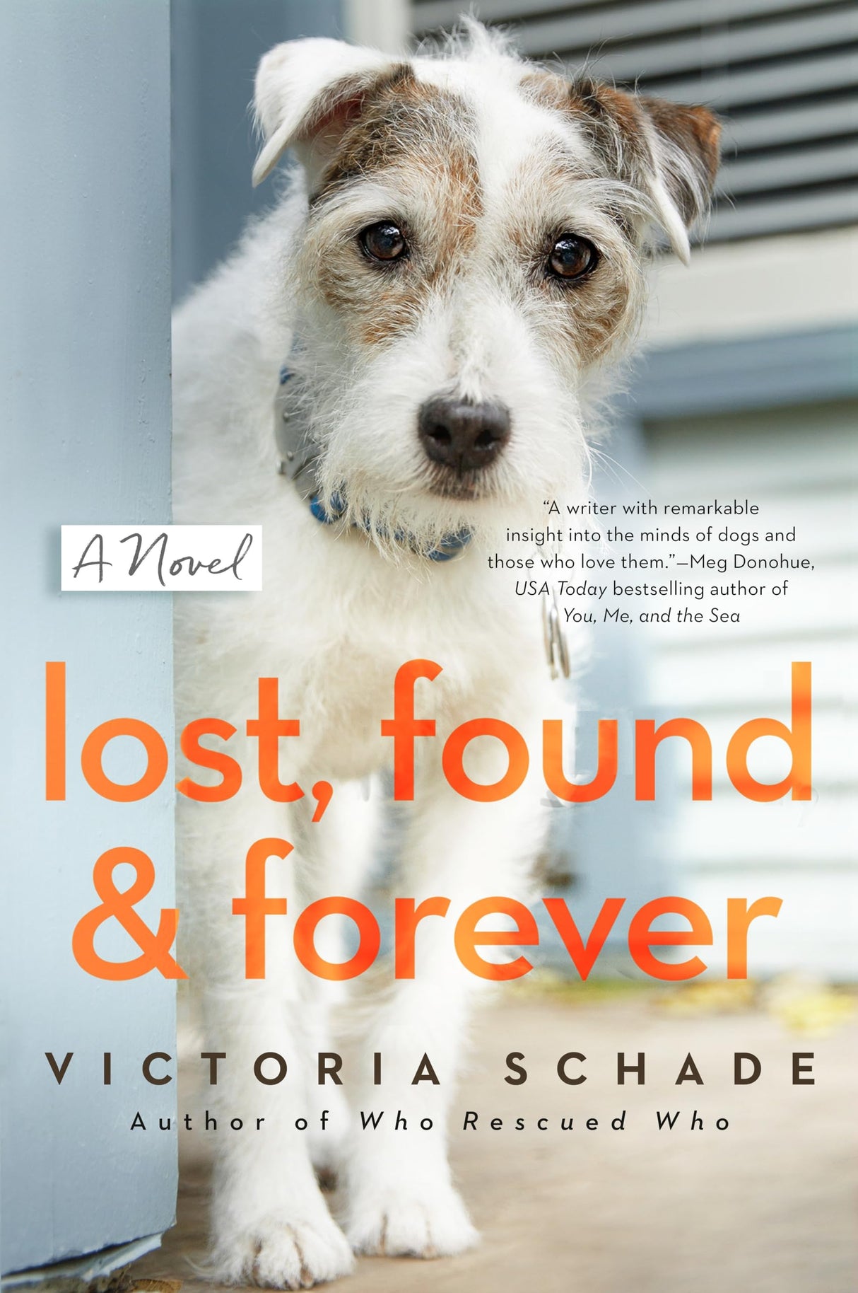 Lost, Found, and Forever: A Novel