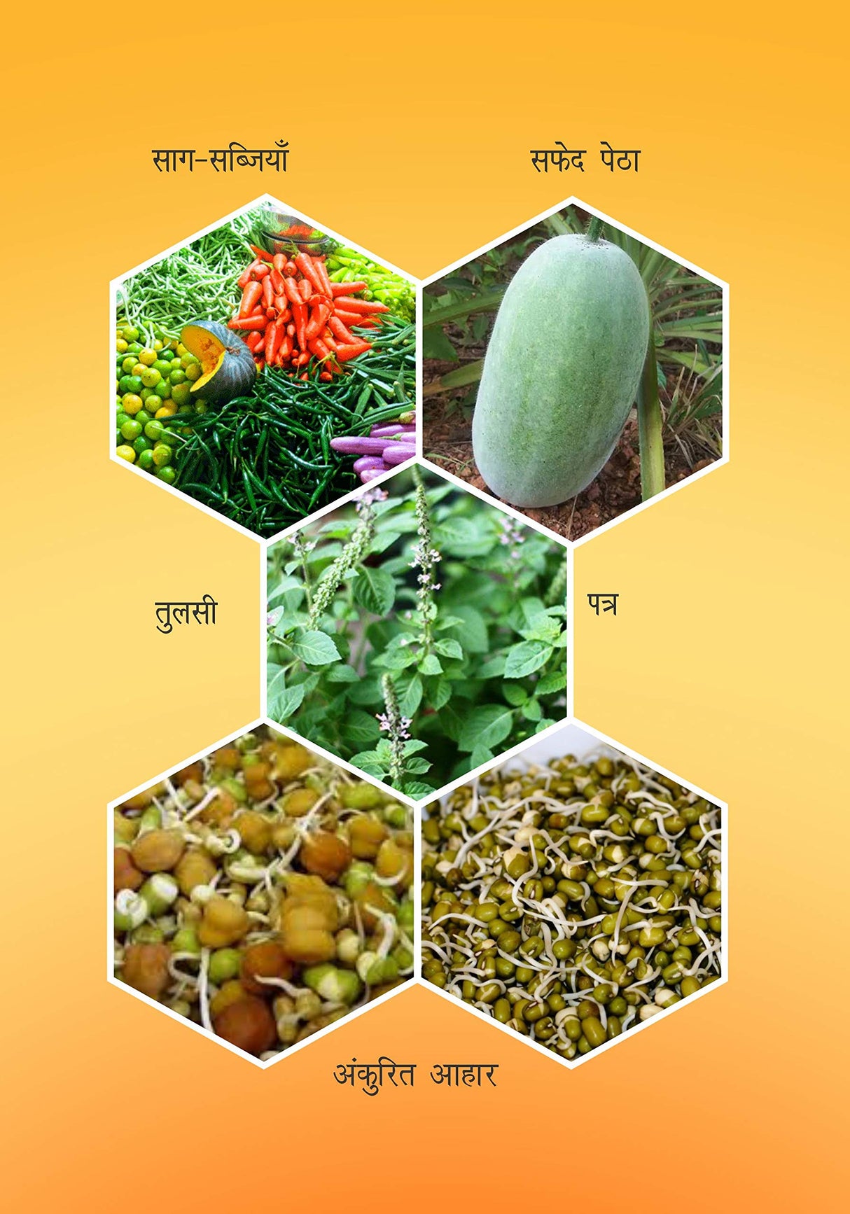 प्रकृति तथा योग की शरण Sampoorna Yoga Book Hindi, October 2019 Edition - Retail Maharaj