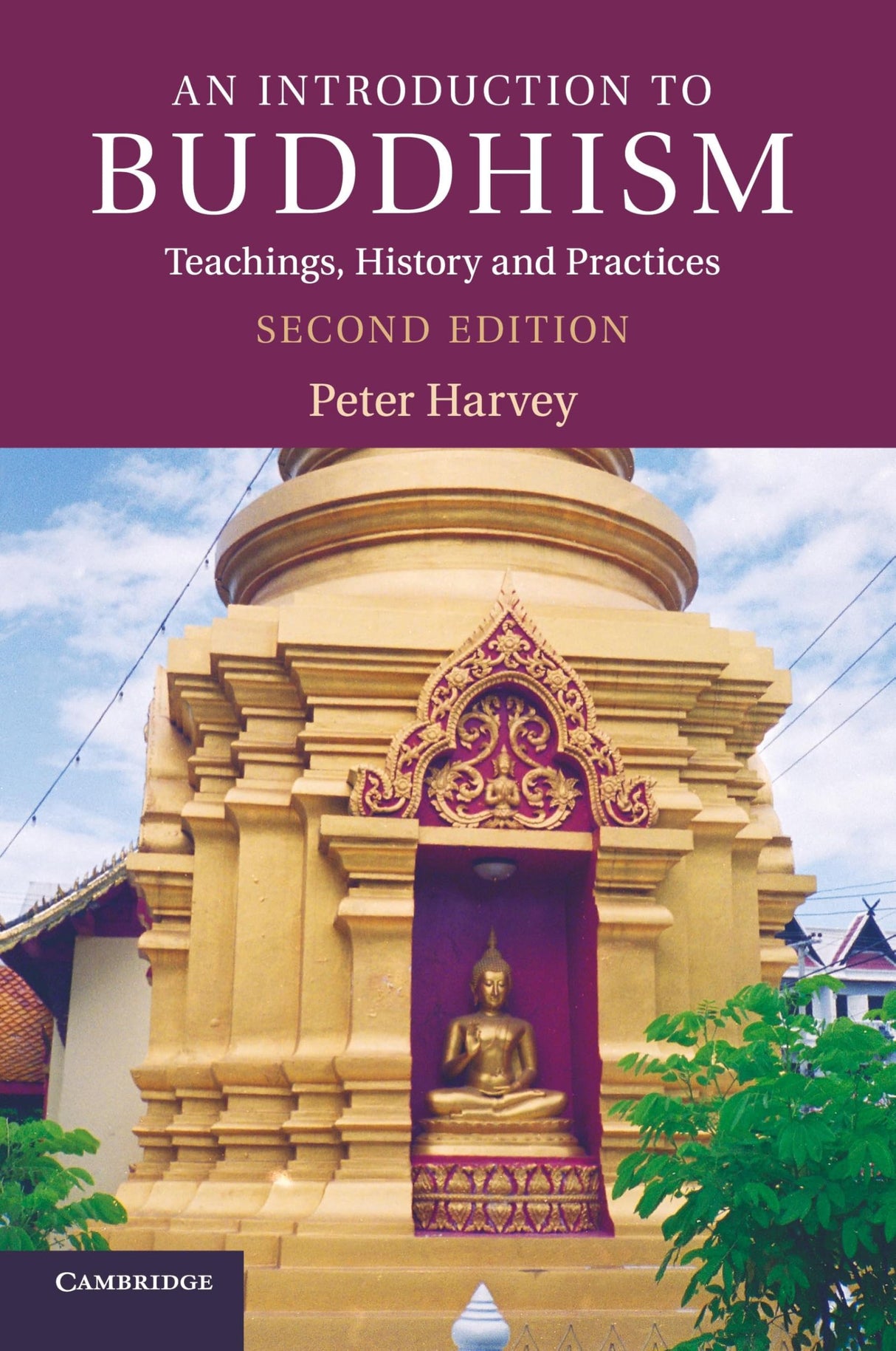 An Introduction to Buddhism: Teachings, History and Practices (Introduction to Religion)